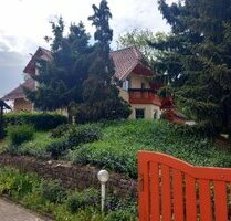 25 km von Erfurt - wunderschön angelegtes Grundstück und exklusives Wohnen vereint - Besondere Immobilie in Herbsleben