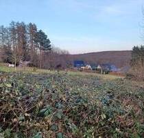 Großes Baugrundstück mit unverbaubarem Ausblick in die grüne Bittermark - Dortmund