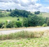 Mein Traumbaugrundstück mit unverbindlichem Hausbauvorschlag - Eineborn