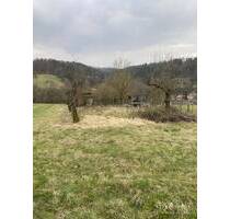 # Freizeit-Grundstück in Weinstadt-Baach #