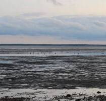 traumhaftes Baugrundstück mit Nordseeblick auf Amrum - Wittdün