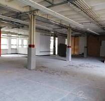 60489 Frankfurt-Rödelheim - Lagerfläche ca. 430 m², Deckenhöhe rd. 4,20 - Frankfurt am Main