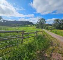 Top Baugrundstück unverbaubare Sicht - Merzkirchen Körrig