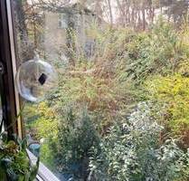 EFH m.ELW, sehr ruhig,FensterHeizung neu,beste Infrastruktur - Fürth Stadeln