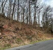 Bauplatz in Unterebersbach, OT - 42.000,00 EUR Kaufpreis, ca.  0,00 m² in Niederlauer (PLZ: 97618) Unterebersbach