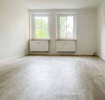 Relaxen zu Hause oder fix in die City - diese Wohnung bietet beides! - Plauen Dobenau