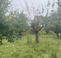 Interessantes Baugrundstück in Hartheim - Hartheim am Rhein