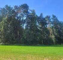 Bauerwartungsland - 69.000,00&nbsp;EUR Kaufpreis, ca.&nbsp; 0,00&nbsp;m&sup2; in Büchenbach (PLZ: 91186) Aurau