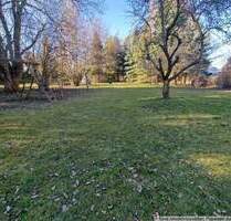 Schönes Haus in Kändler mit traumhaften Grundstück und viel Potenzial - Limbach-Oberfrohna