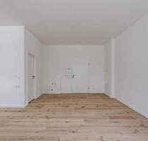 Penthouse in Bissingen -Nachhaltig & kernsaniert - Bietigheim-Bissingen / Bissingen