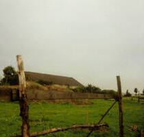 Idyllisches Bauland in Hohenfelde: Natur pur nahe SchwedtOder! Preis VHB! - Schwedt/Oder / Hohenfelde
