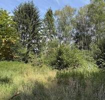 Wohnen im Grünen - ca. 833?m² für Ihr neues Zuhause - Bienenbüttel