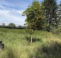 Hier könnte Ihr Haus stehen - Grundstück mit ca. 945?m² - Bienenbüttel