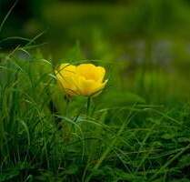 Wohngrundstück mit Altbestand in Gaimersheim zu verkaufen.