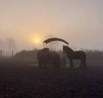 Sanierter Hof in Alleinlage mit 7,5 ha Eigenland in Dithmarschen - Eggstedt