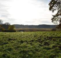 Parkartiges Baugrundstück in 2. Reihe mit unverbaubarem Blick über die Billewiesen - Trittau
