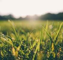 AIGNER - Großzügiges Grundstück in begehrter Lage von Solln - München Thalk.Obersendl.-Forsten-Fürstenr.-Solln