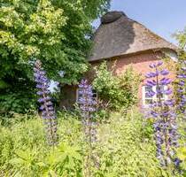 RESERVIERT - Das Rönnehaus - ein Ort zum Ankommen, Durchatmen und Bleiben - Drochtersen / Hüll