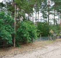 Ein Baugrundstück in der Waldgemeinde Borkwalde