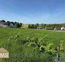 Tolles Baugrundstück in Olk! - 250.000,00&nbsp;EUR Kaufpreis, ca.&nbsp; 0,00&nbsp;m&sup2; in Ralingen (PLZ: 54310) Olk