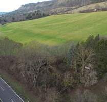 Freizeitgrundstück an der Eisenberger Straße sucht neuen Eigentümer - Jena Jenaprießnitz