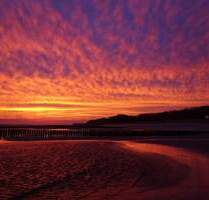 Lage, Lage, Lage - Strandhaus am Meer mit privatem Strand - Ückeritz