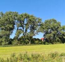 Doppelhaus mit Einliegerwohnung in Alleinlage von Varel-Streek