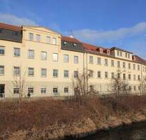 Lichtdurchflutete und frisch renovierte Zweiraumwohnung (WE016) - Döbeln