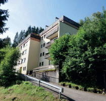 Charmante 1-Zimmer-Wohnung mit Berg- und Waldblick - Schonach im Schwarzwald