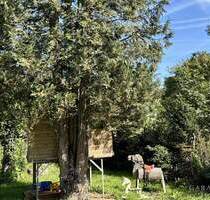 Charmantes Einfamilienhaus mit traumhaft großem Garten - ein Familienparadies mit Baumhaus - Vaihingen an der Enz Aurich