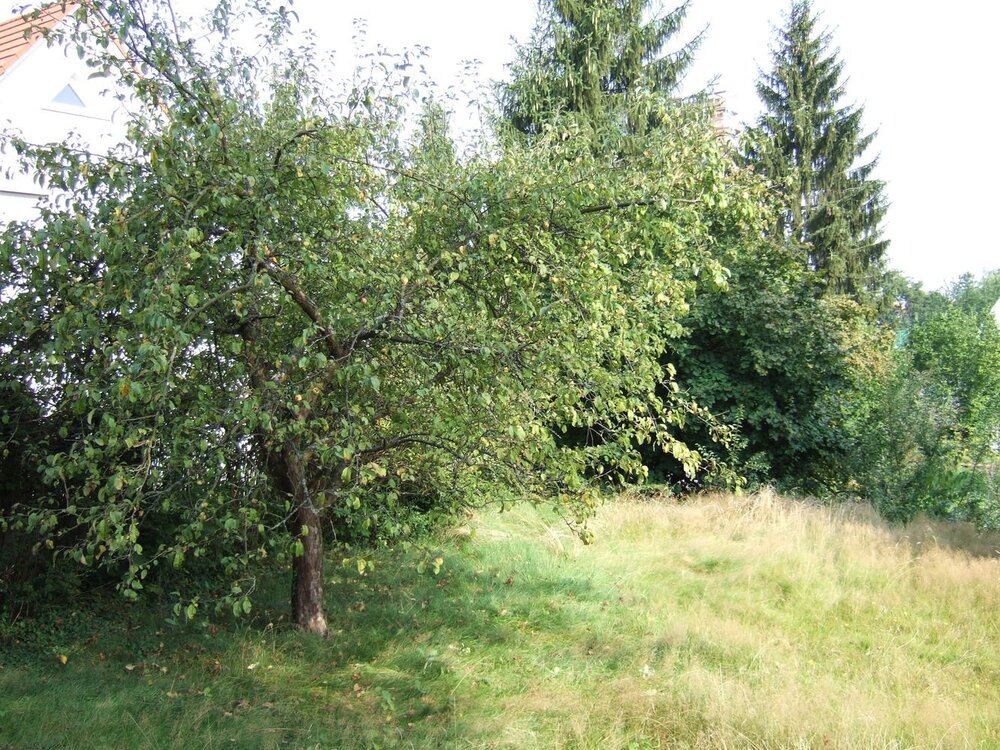 Grundstück mit Baugenehmigung für eine Doppelhaushälfte in ruhiger Lage - Baiersdorf