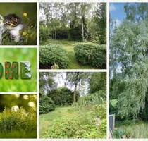 6-Zimmer Familienidyll für Tierfreunde & Naturliebhaber - Welle