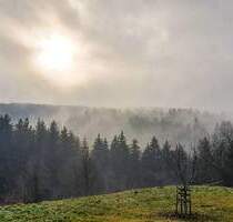 Idyllisches Wohnhaus mit Stall - ideal für Pferde-Tierhaltung oder Selbstversorgung in Brunnadern - Bonndorf