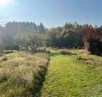 Bezugsfreies familienfreundliche Wohnhaus mit schönem Garten - Biesenthal