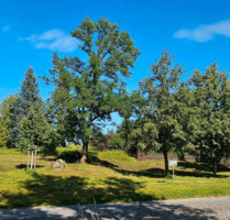 Idyllisches Baugrundstück im Herzen der Märkischen Schweiz - Wohnen, wo andere Urlaub machen! - Oberbarnim Ihlow