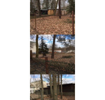 Wohn- und Geschäftsgrundstück in Kolkwitz - Großzügige 2.000 m² am Klinikum zu verkaufen - Brandenburg - Kolkwitz