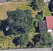 Grundstück zu verkaufen - 324.000,00 EUR Kaufpreis, ca.  0,00 m² in Regensburg (PLZ: 93057) Konradsiedlung-Wutzlhofen