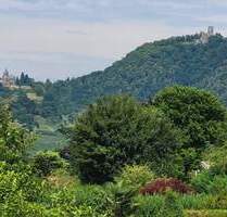 Aussichtsreich am Rodderberghang 1.698 m² Grundstück Bonn-Mehlem