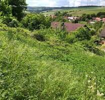 Unbebautes Grundstück in Imsweiler! Ideal für eine Wohnbebauung oder eine Investition!