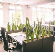 Arbeitsplätze in einem modernen Büro in Heilbronn - All-in-Miete