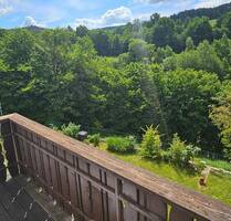 Wohnen und Leben in Freudenberg - Neu renovierte 3 Zimmer Wohnung mit Balkon und Garage in ruhiger und sonniger Lage