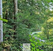 Ihr EIGENER Wald in Münchens schönem Süden - Baierbrunn