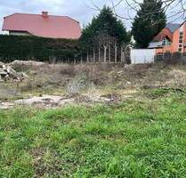 reduzierter Preis - Baugrundstück - IS 4111 - Lambsheim