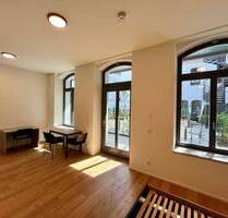 Loftige, möblierte 1-Zimmer-Wohnung mit großer Terrasse zum Erstbezug! - Nürnberg Gostenhof