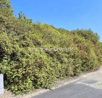 Attraktive Baugrundstücke in Röttingen