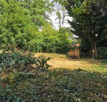 Traumhaftes Freizeitgrundstück nur 100?m vom Kalksee entfernt - Naturidylle in Woltersdorf