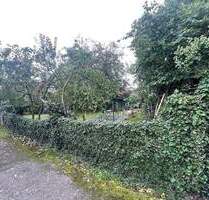 Ebenes Naturnahe Grundstück in Randlage - Mosbach Neckarelz