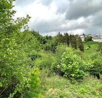 Tolles Grundstück ! - 29.000,00 EUR Kaufpreis, ca.  0,00 m² in Nordhalben (PLZ: 96365)