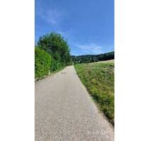 Schönes Baugrundstück in Sasbachwalden