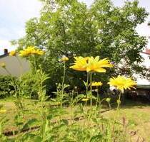 WER WILL BAUEN ? ... IN MALCHEN ... - Seeheim-Jugenheim